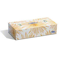 White Swan 2-Ply Facial Tissue 100 Sheet 30/case